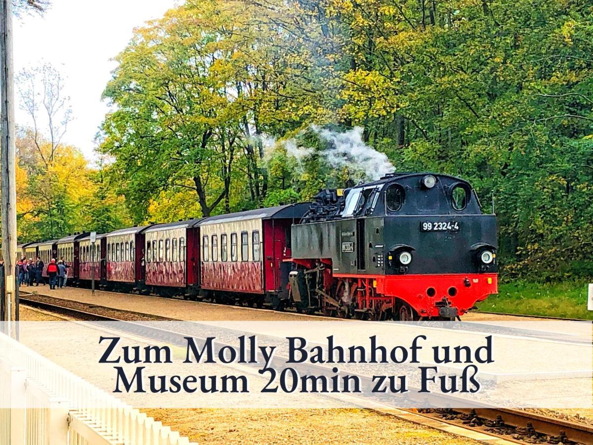 3 Zimmer App Duenengarten Fewo 58 Ostseebad Kühlungsborn Exterior foto