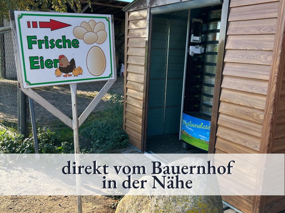 3 Zimmer App Duenengarten Fewo 58 Ostseebad Kühlungsborn Exterior foto
